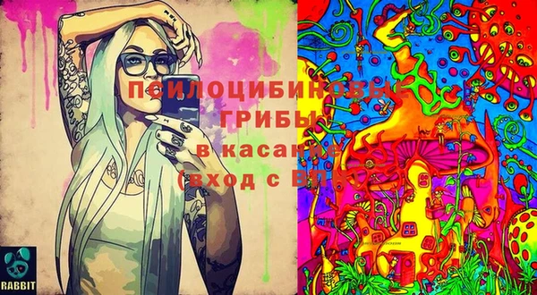 apvp Вязники