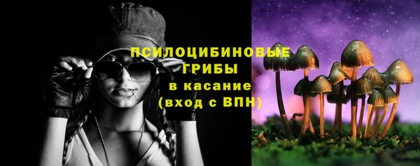 apvp Вязники