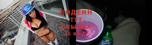прущий лед Вязьма
