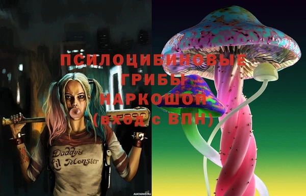 apvp Вязники